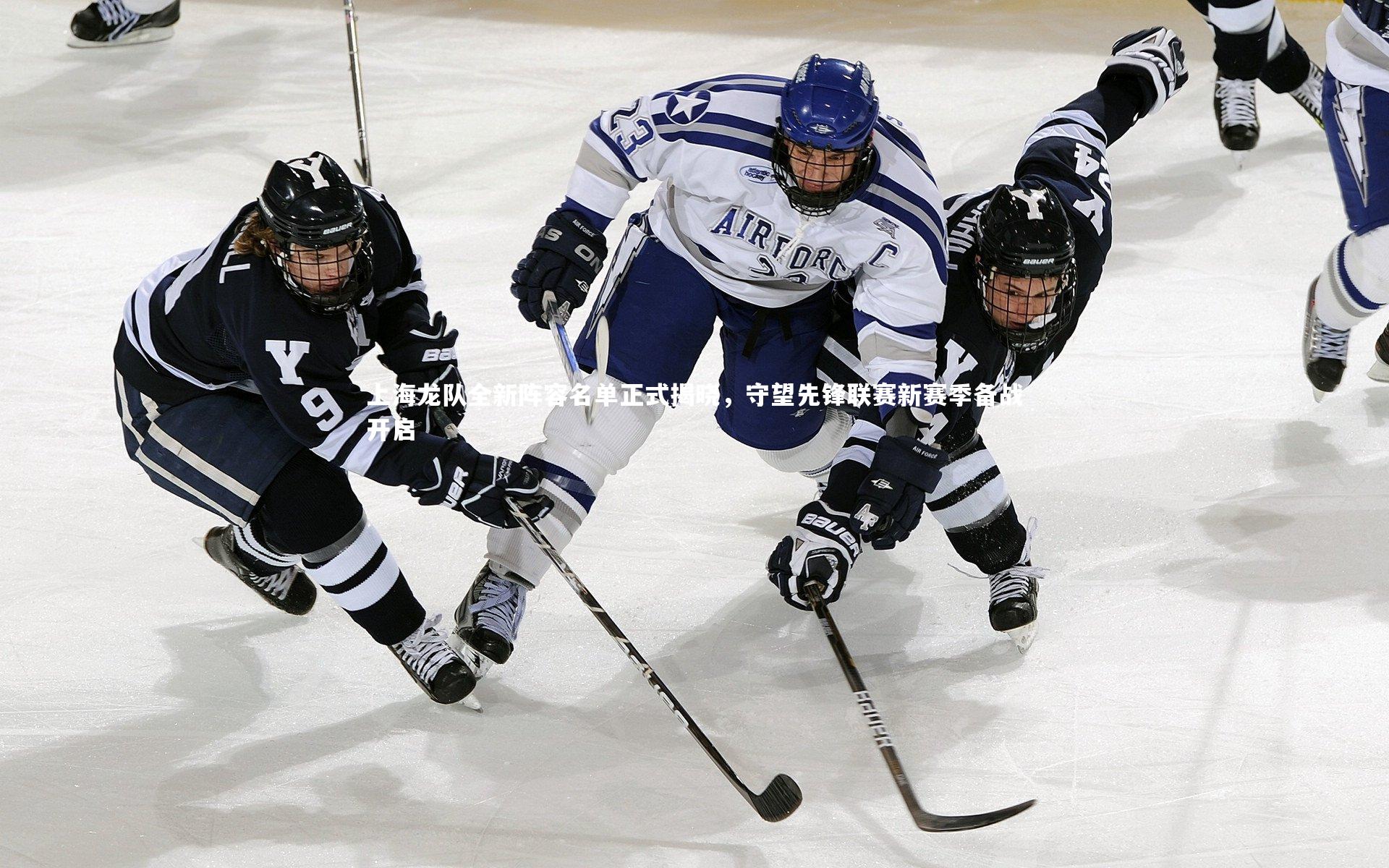 上海龙队全新阵容名单正式揭晓,守望先锋联赛新赛季备战开启